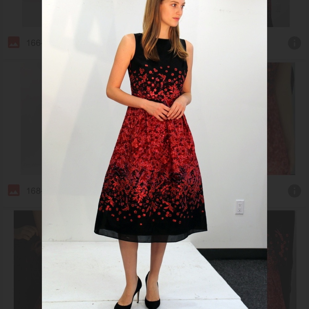 NWT Carlisle Formal Embroidered Black and Red Floral Midi Dress - Picture 9 of 14